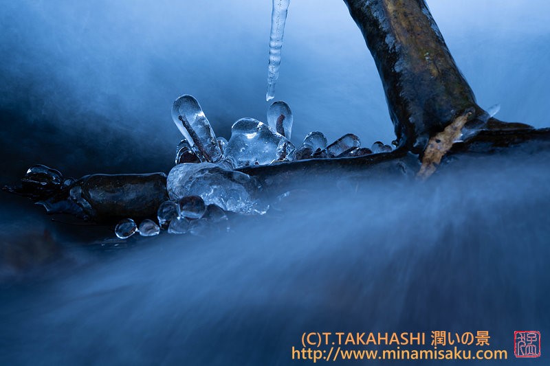 ../Images/7R251129 (145).jpg